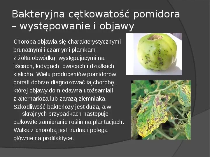 Choroby roślin warzywnych - Slide 46