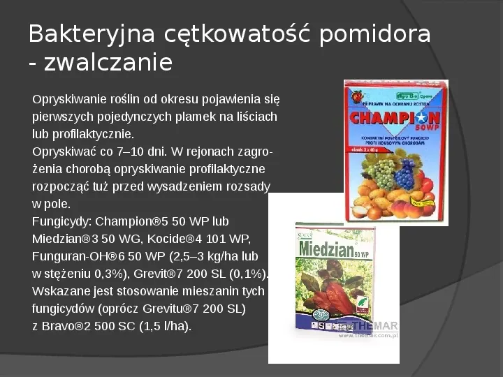 Choroby roślin warzywnych - Slide 47
