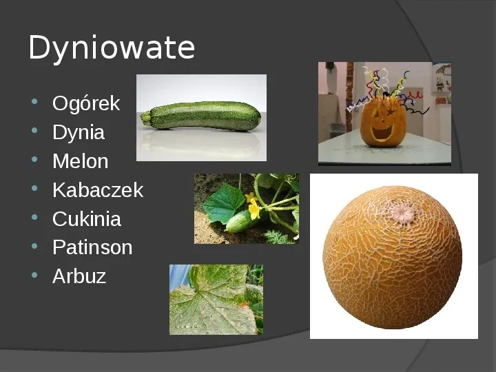 Choroby roślin warzywnych - Slide 60