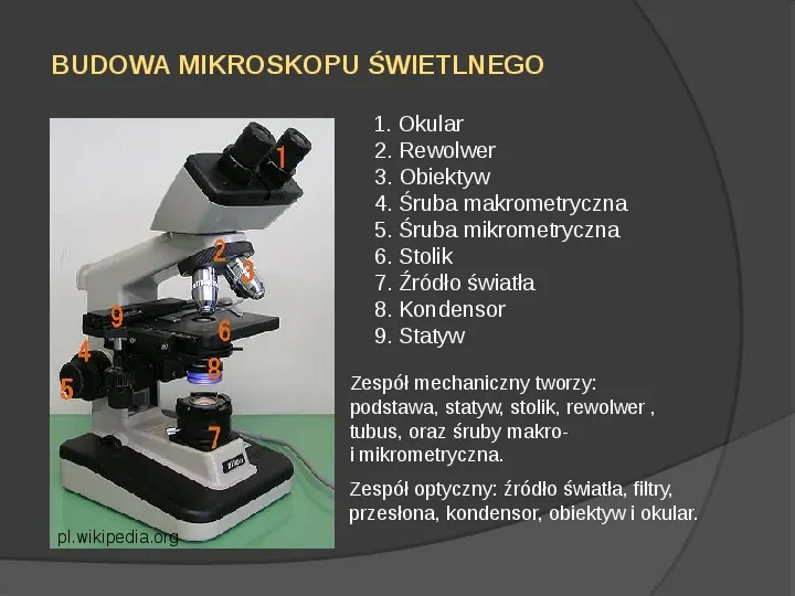 Mikroskop świetlny - Slide 3