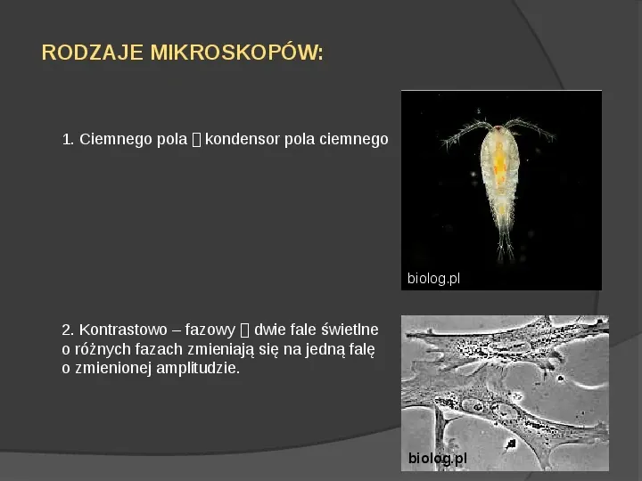 Mikroskop świetlny - Slide 6