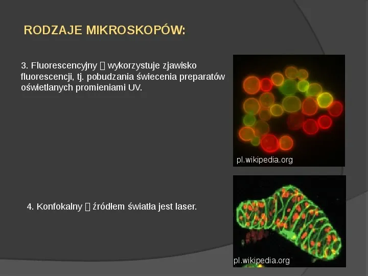 Mikroskop świetlny - Slide 7