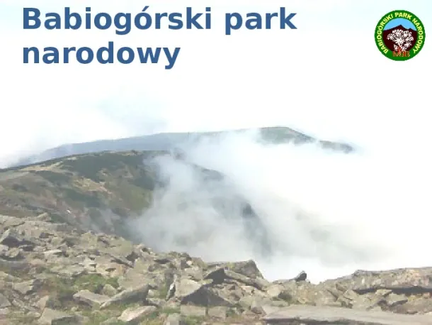 Babiogórski Park Narodowy - Slide pierwszy