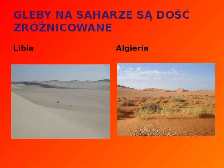 Sahara - Slide 4