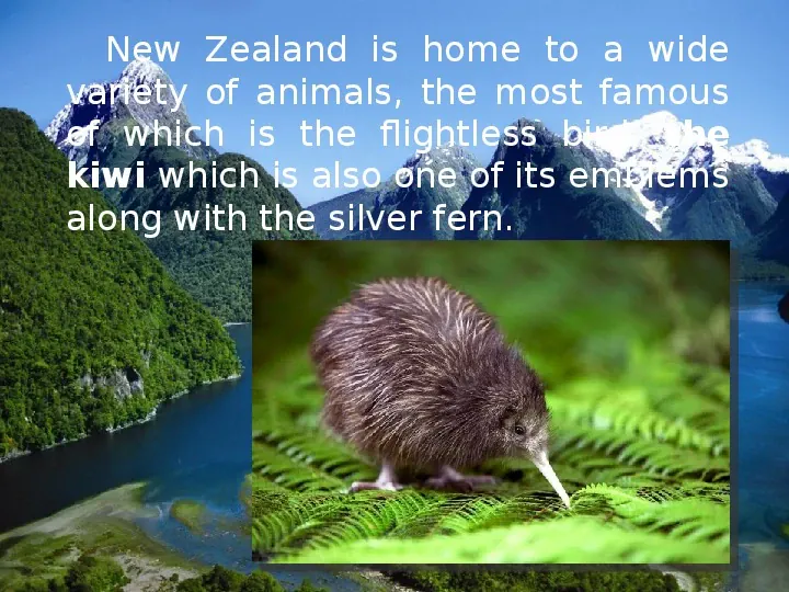 Fauna i Flora New Zealand - Slide 3