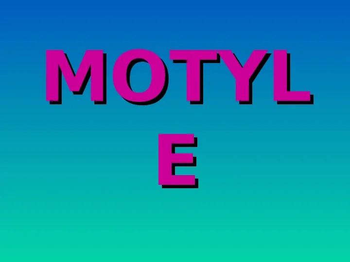 Motyle - Slide 1