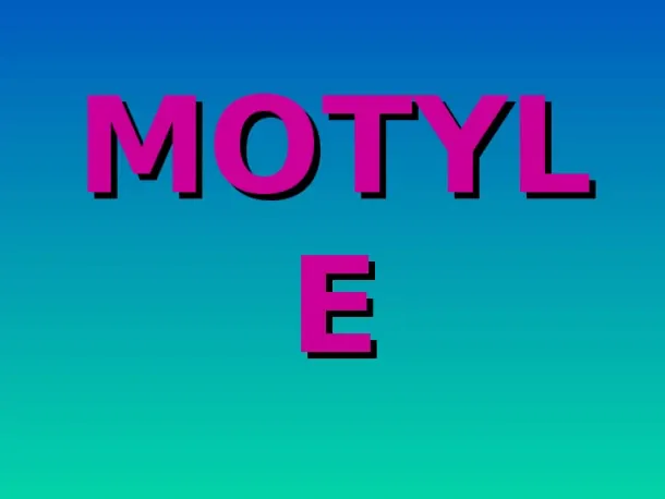 Motyle - Slide pierwszy