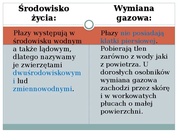 Płazy - zwierzęta zmiennocieplne - Slide 4