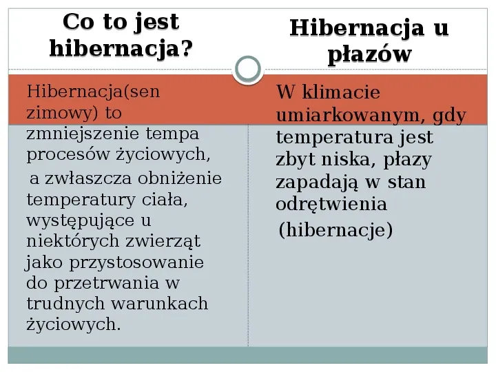 Płazy - zwierzęta zmiennocieplne - Slide 5