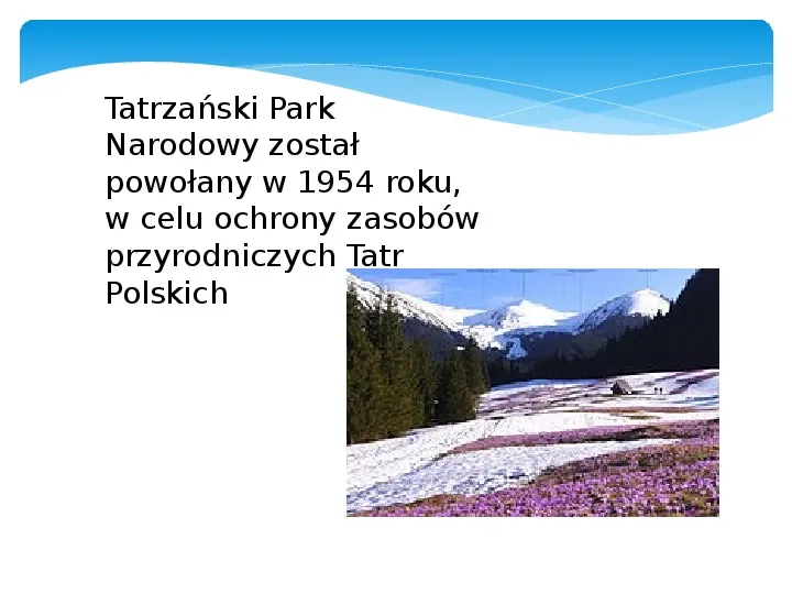 Park Tatrzański - Slide 6