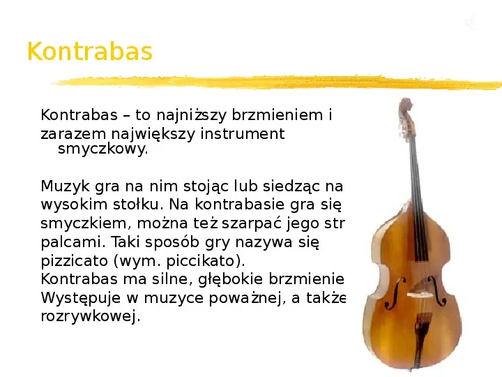 Instrumenty strunowe - Slide 10