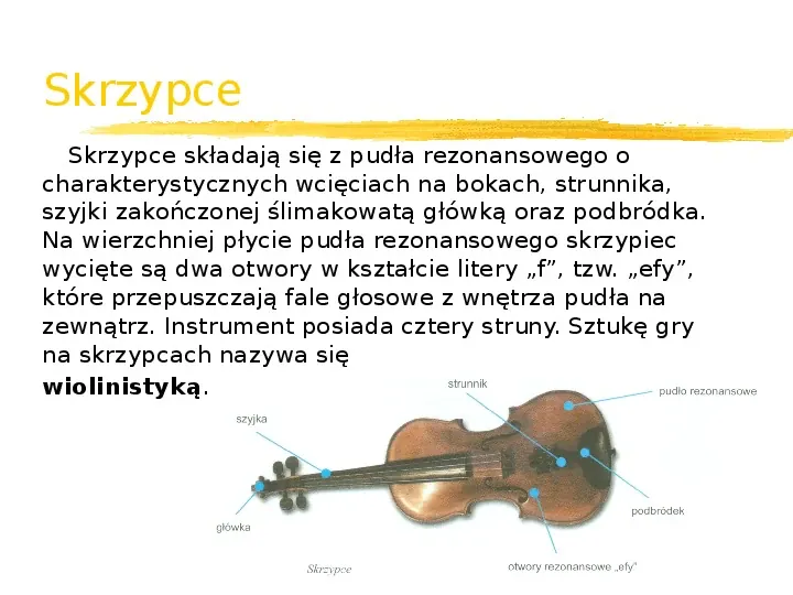 Instrumenty strunowe - Slide 6