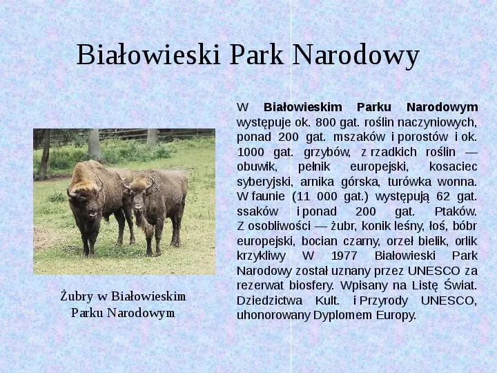 Zabytki z listy UNESCO Polska - Slide 7